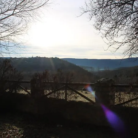 Rincon De La Vega * Los Cortos